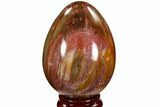 Colorful, Polished Petrified Wood Egg - Triassic #107389-1